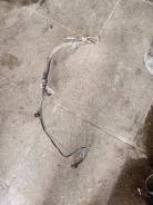 ����� ��� ����