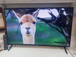LG. ������ ����