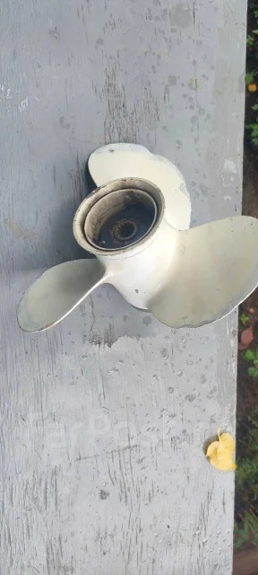 ����� �������. ����