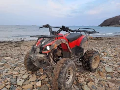 Yamaha Grizzly 125. ��������, �� ����