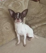 ��������. ����