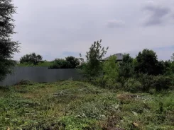 �������� ���. ������� 10 �����. 10����., ���, ������������� ����