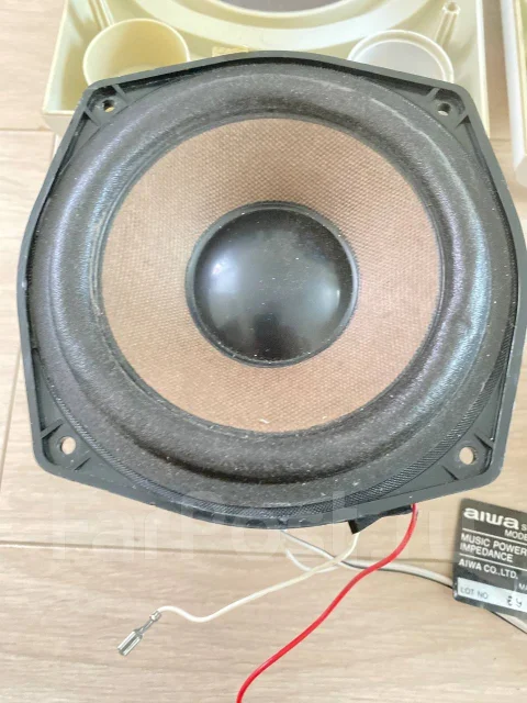 ��������. ����