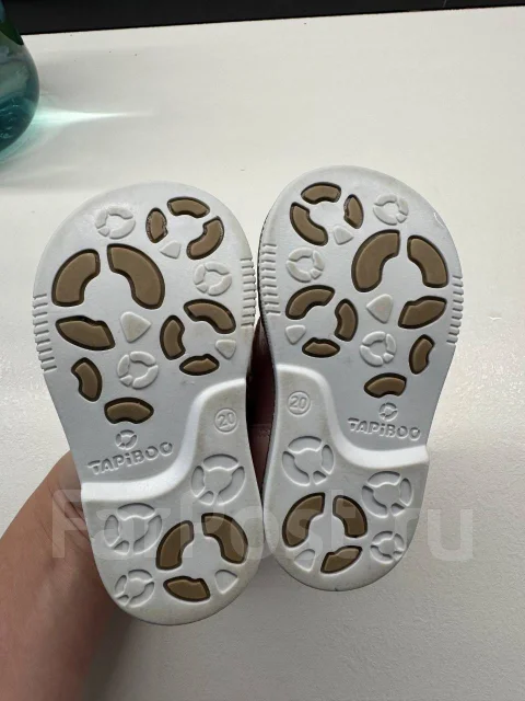 ����� �������. 19.5 ����