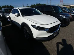 Mazda CX-30. DM8P, S8DPTS ����
