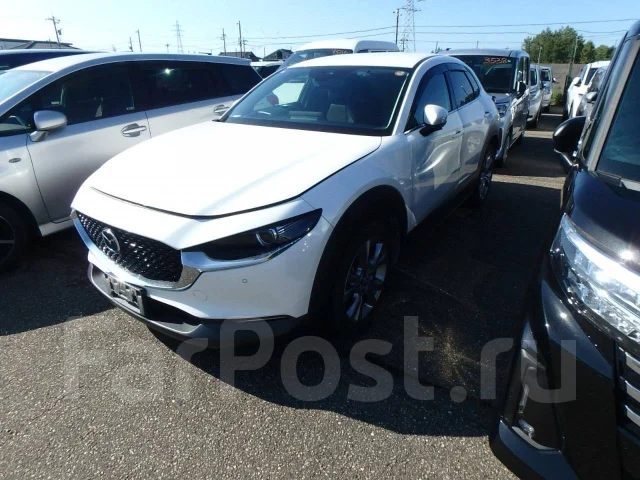 Mazda CX-30. DM8P, S8DPTS ����