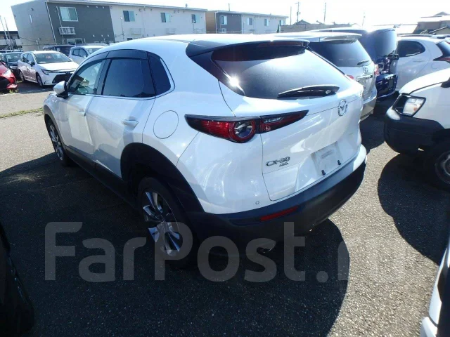 Mazda CX-30. DM8P, S8DPTS ����