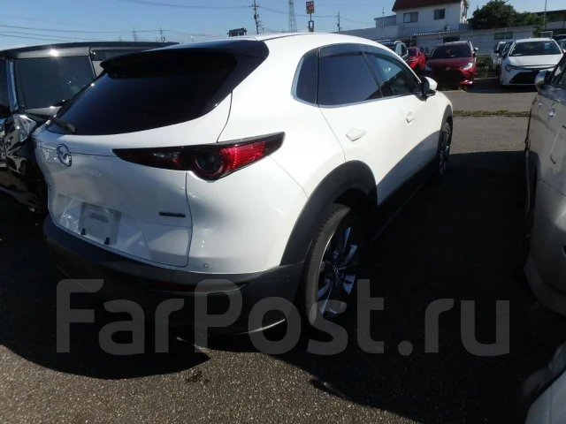 Mazda CX-30. DM8P, S8DPTS ����