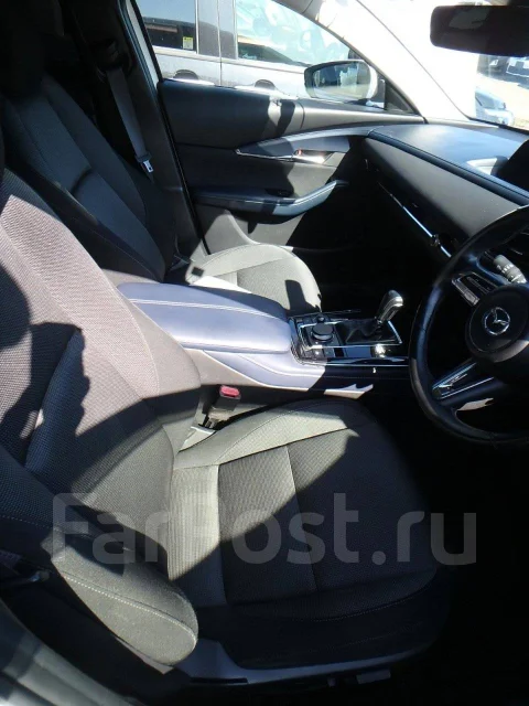 Mazda CX-30. DM8P, S8DPTS ����