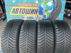 Goodyear Vector 4Seasons. �����������, 2023 ���, �/�, ����� 5 % ����
