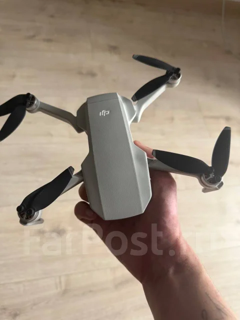 DJI Mavic Mini. � ������� ����