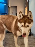 ������. ����