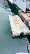 �������. ����