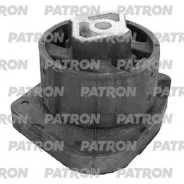 ����� ��� BMW: X5 (E53) 3.0 I 00-06 X5 (E53) 3.0 D 03-06 Patron PSE30441 PSE30441 ����