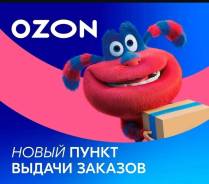  .  -.  ,    ,  ,    29 