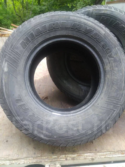 Federal Himalaya. �����������, �/�, ����� 60 % ����