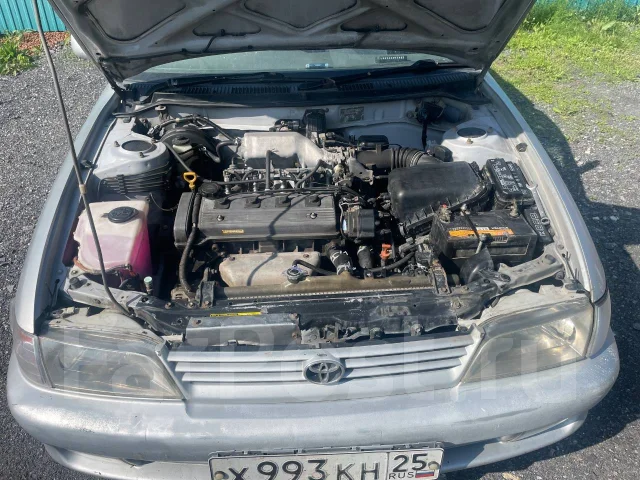 Toyota Corolla. �������, ��������, ������ ����