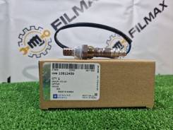 ������ ���� GM 12612459 12612459 ����