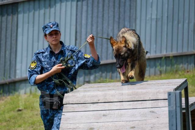 �������. ��� ��-41 ������ ������ �� ����������� ����. ����� ��������� 95 ����