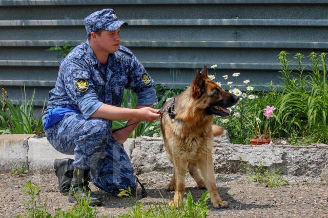 �������. ��� ��-41 ������ ������ �� ����������� ����. ����� ��������� 95 ����