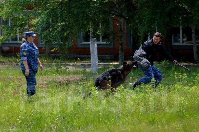 �������. ��� ��-41 ������ ������ �� ����������� ����. ����� ��������� 95 ����