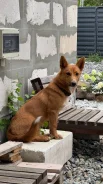 ������. ����