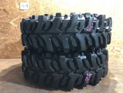Accelera Badak X-Treme. ������, 2021 ���, �/�, ����� 10 % ����