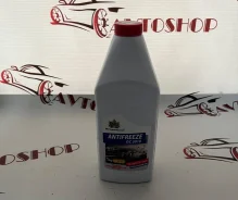 ��������. ����