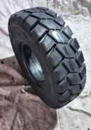 Casumina. �����������, 2023 ���, �����. �������� ������ ����