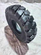 Casumina. �����������, 2023 ���, �����. �������� ������ ����