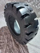 Casumina. �����������, 2023 ���, ����� ����