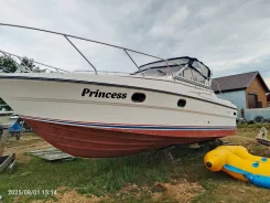 ������ �����. 1989 ���, ����� 8,6��., ��������� ������������, 400��.�., ������ ����