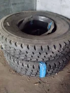 O'Green AG219. �����������, 2024 ���, �/�, ����� �� 5 % ����