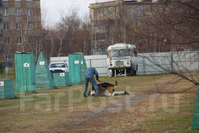 �������. ��� ��-41 ������ ������ �� ����������� ����. ����� ��������� 95 ����