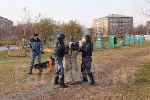 �������. ��� ��-41 ������ ������ �� ����������� ����. ����� ��������� 95 ����