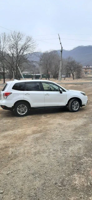 Subaru Forester. ��������, 4wd, 2.0 (150��.�.), ������, 104 000����. �� ����