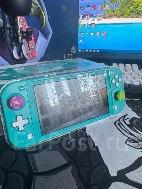 Nintendo Switch Lite ����