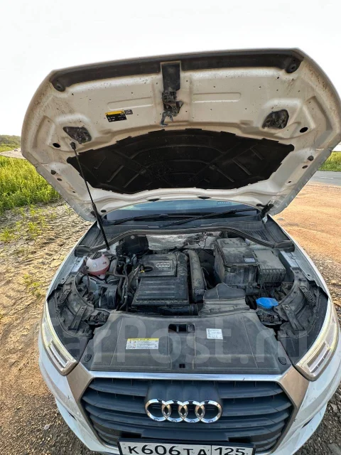 Audi Q3. �������, ��������, ������, 145 800����. �� ����