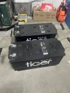Tiger. 190��.�., G51, 1 210��., ��������, ������������ ������ ����