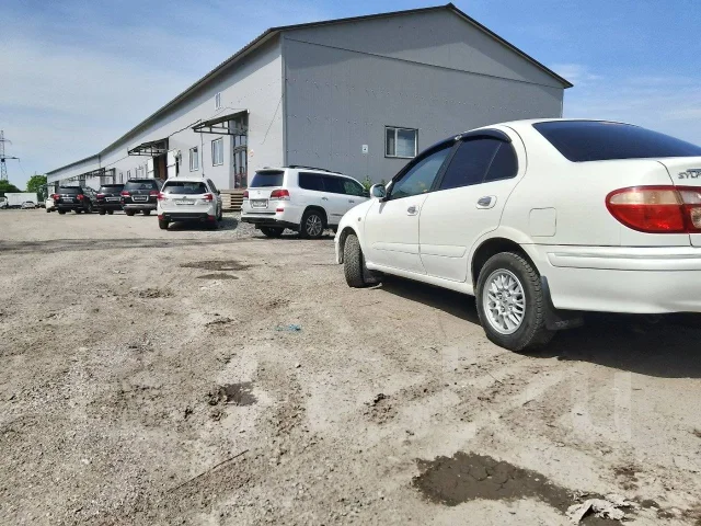 Nissan Bluebird Sylphy. �������, ��������, 1.5 (1 500��.�.), ������, 222 000����. �� ����