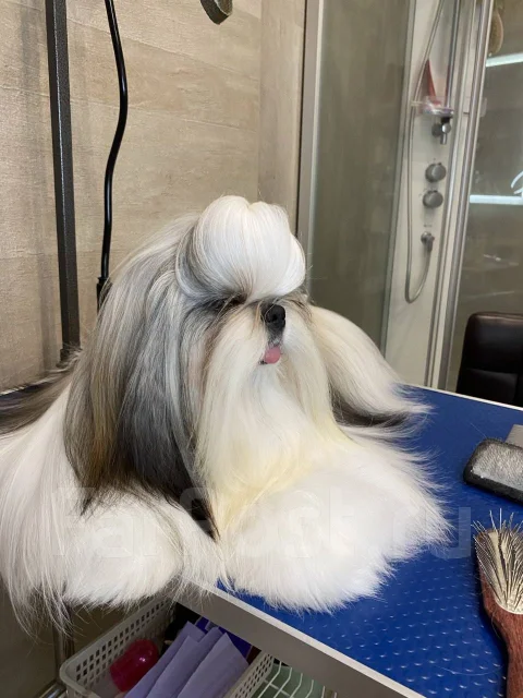 ��-���. ����