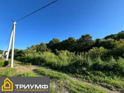 ��������� �������� ������� � �. ���������. 10����., ���, �������������. ���� ������� ����