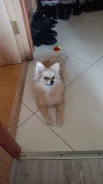 �������� ����. ����