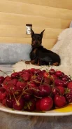 ������. ����