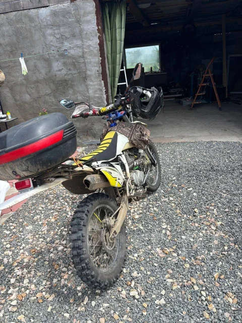 Avantis FX 250 Lux. 250����. ��., ��������, ���������, ������ �� �� ����