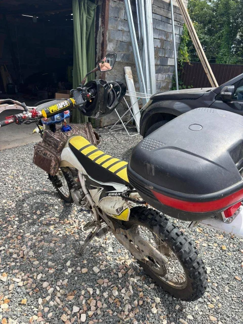 Avantis FX 250 Lux. 250����. ��., ��������, ���������, ������ �� �� ����