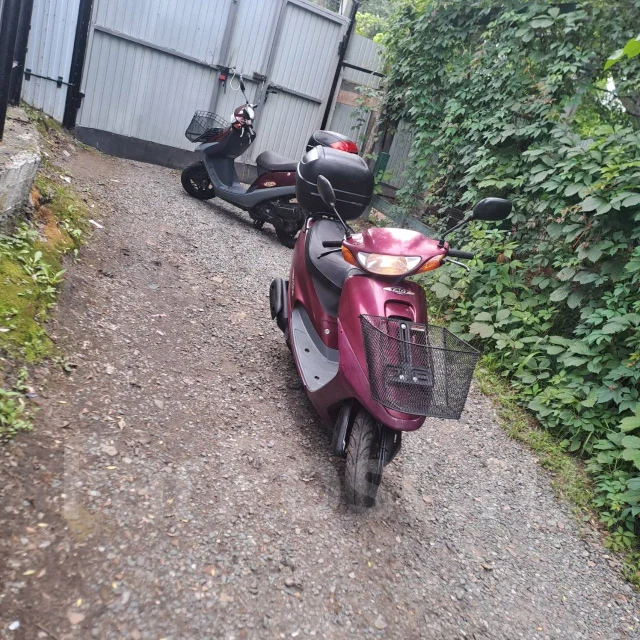 Honda Tact AF-30. 49����. ��., ��������, ��� ���, ��� �������. ��� ����� �� ������������ ����