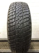 Pirelli Citynet Winter Plus
