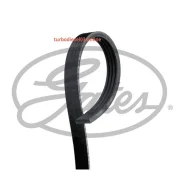 ������ ������������ XF48427 Gates 4PK1770 4PK1770 ����