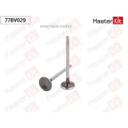 ������ ��������� 77BV029 77BV029 ����